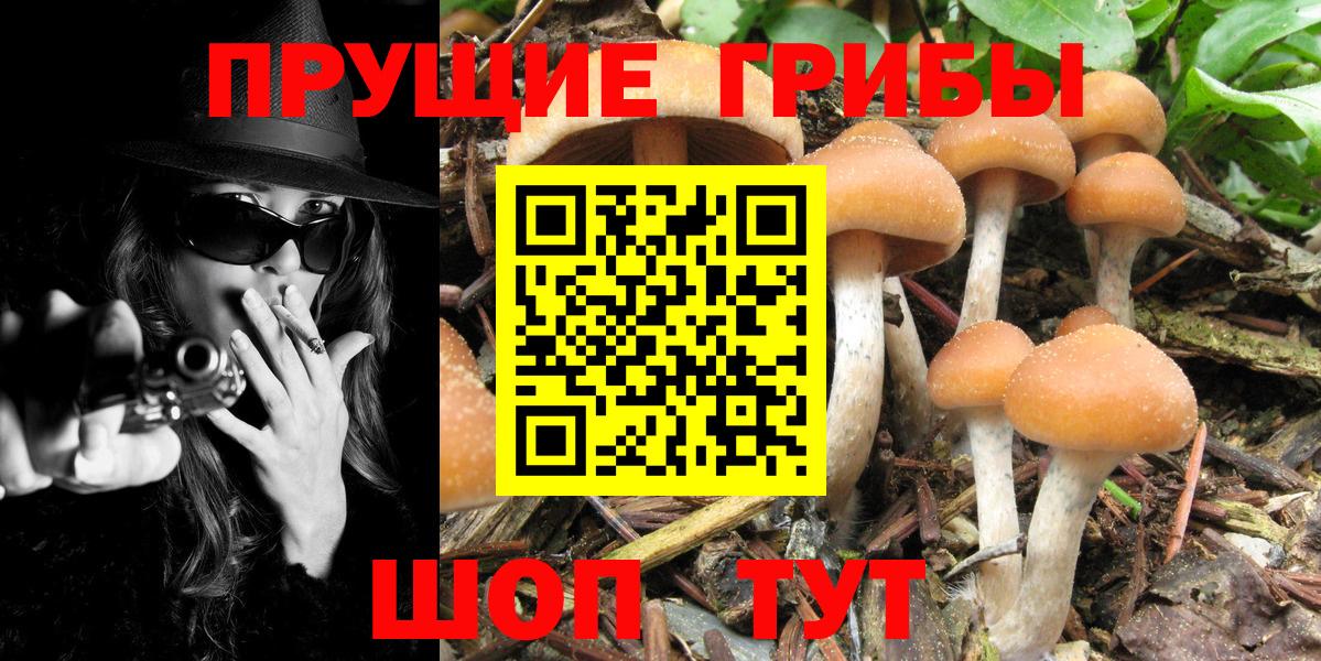 Псилоцибиновые грибы MAGIC MUSHROOMS  Вход с VPN  Аргун 