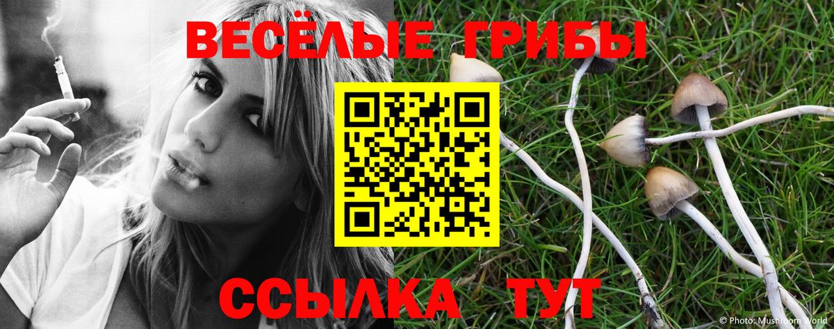 Псилоцибиновые грибы Psilocybe Аргун